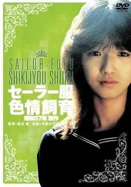 日本爱情青春电影夏日信箱手机观看